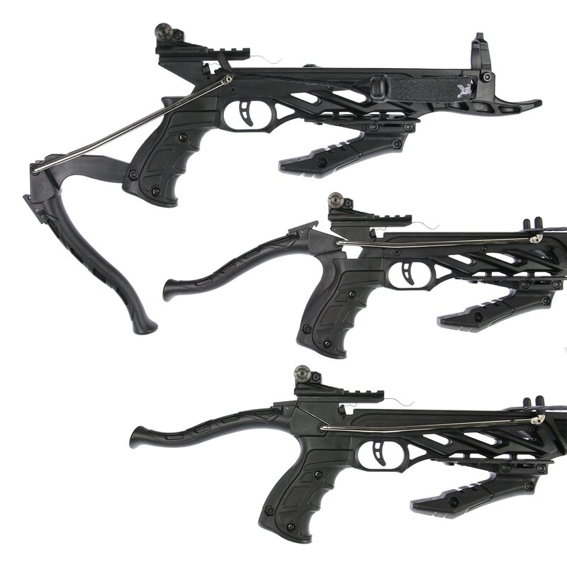 Alligator_4