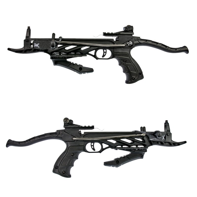 Alligator_2