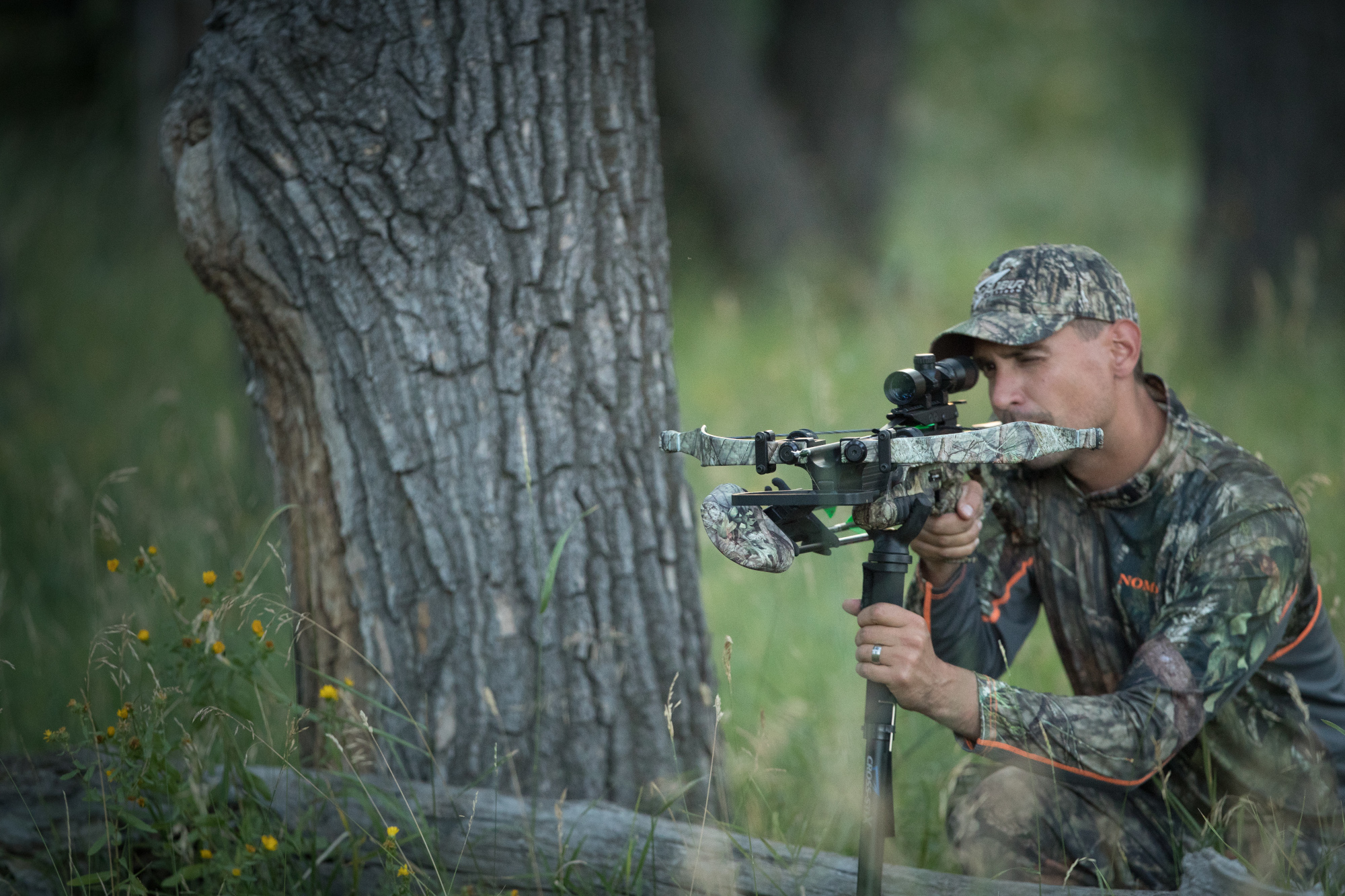WY-TMO-2019-29